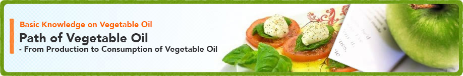 Path of Vegetable Oil