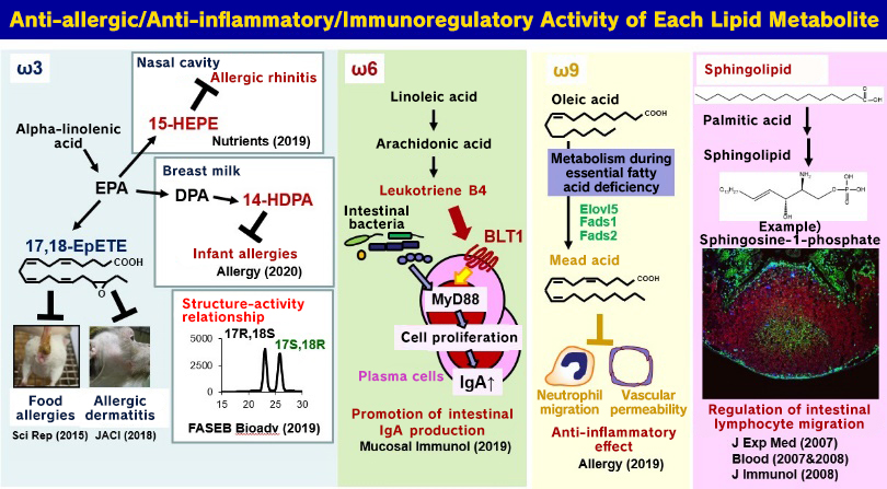 Immune Functions and Biological Defenses Regulated by Fats and Oils