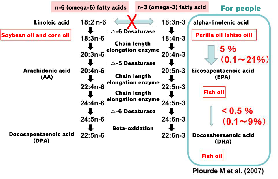 Effects of Perilla Oil on Brain Function—Will the Results of Human Intervention Tests Show the Possibility of Perilla Oil Becoming “Fish Oil (DHA/EPA) From the Field?”