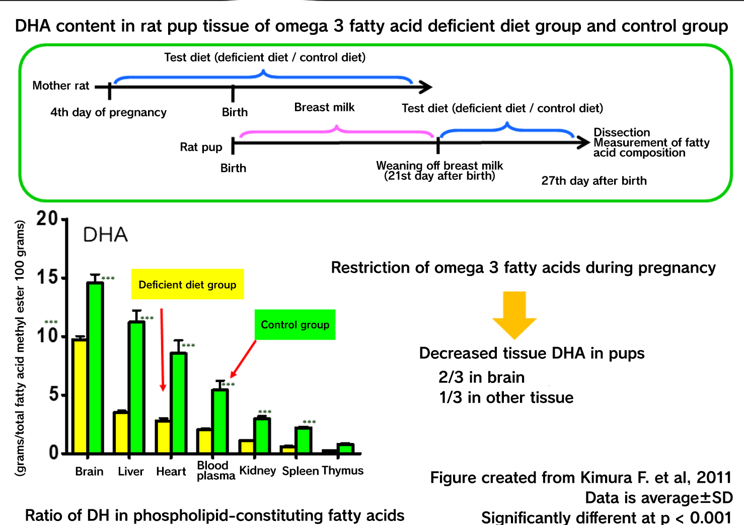 Reexamining Alpha-Linolenic Acid:From the Perspective of Instructors at a Registered Dietician Training Facility