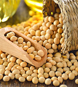 Soybean oil