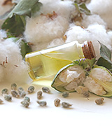 Cottonseed oil