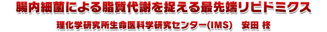 2.腸内細菌による脂質代謝を捉える最先端リピドミクス