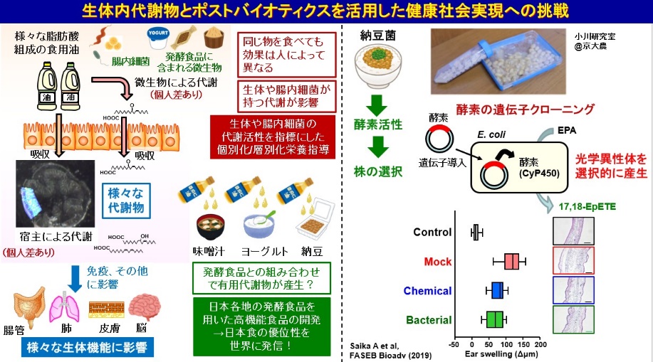 油脂で制御する免疫機能と生体防御