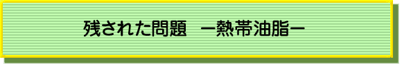 残された問題 -熱帯油脂―