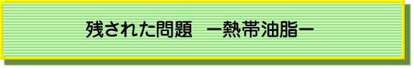 残された問題　－熱帯油脂―