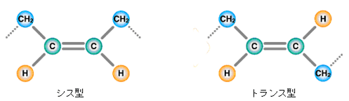 図1　トランス酸の概念図