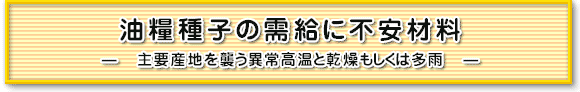 油糧種子の需給に不安材料 ―　主要産地を襲う異常高温と乾燥もしくは多雨　―