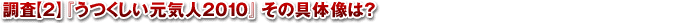 調査【2】『うつくしい元気人2010』その具体像は?