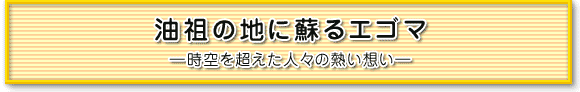 油祖の地に蘇るエゴマ―時空を超えた人々の熱い想い―