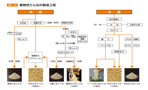  図1　植物性蛋白の製造工程