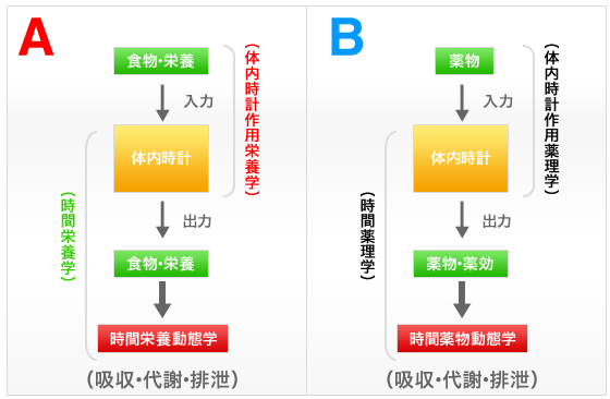 図1 シカゴ市場における大豆先物価格の推移