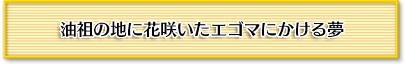 油祖の地に花咲いたエゴマにかける夢