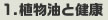 1.植物油と健康