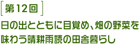 第12回 日の出とともに目覚め、畑の野菜を味わう晴耕雨読の田舎暮らし